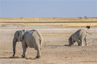 Niger weather forecast