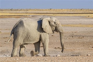 Niger prognoza pogody