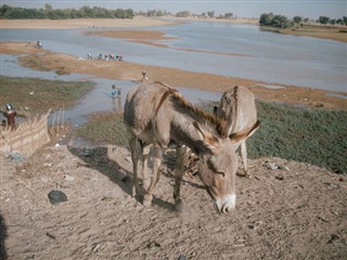 Niger weather forecast