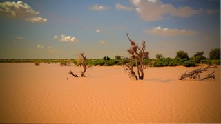 Niger weather forecast