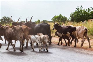 Niger weather forecast