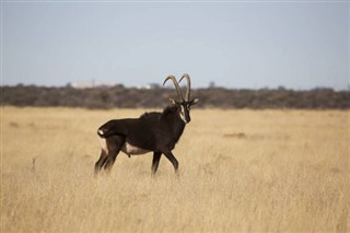 Niger weather forecast