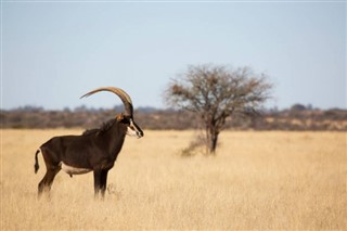 Niger weather forecast