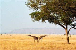 Niger weather forecast