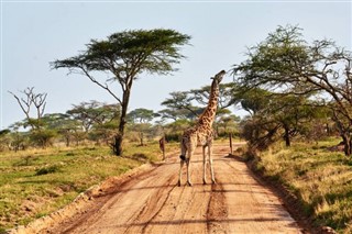 Niger weather forecast