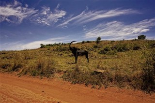 Niger weather forecast