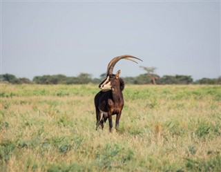 Niger weather forecast