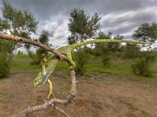 Niger prognoza pogody