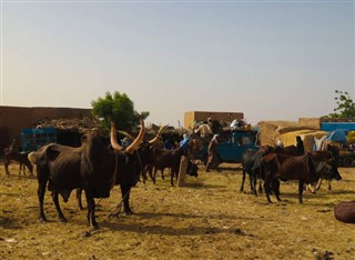 Niger weather forecast