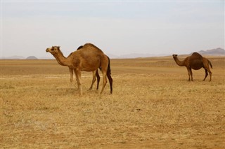 Niger vremenska prognoza