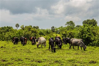 Nigeria pronóstico del tiempo