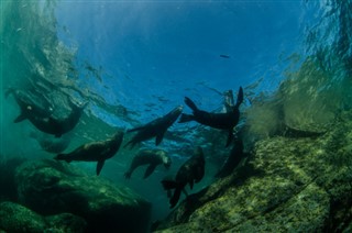 Niue weather forecast