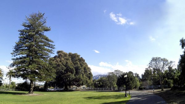 Norfolk Island weather forecast