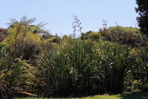 Norfolk Island weather forecast