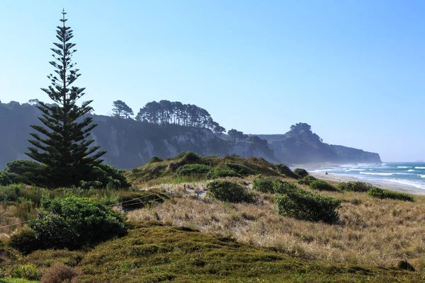 Norfolk Island weather forecast