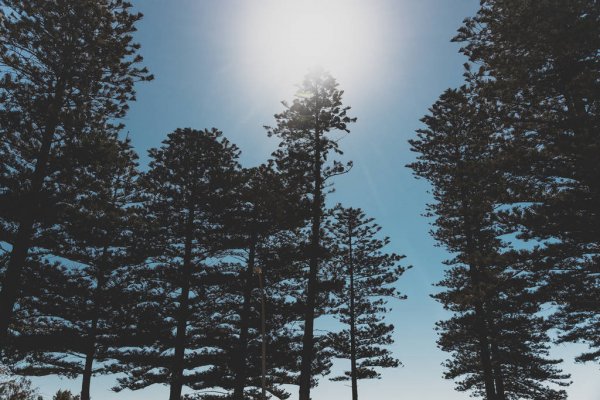 Norfolk Island weather forecast