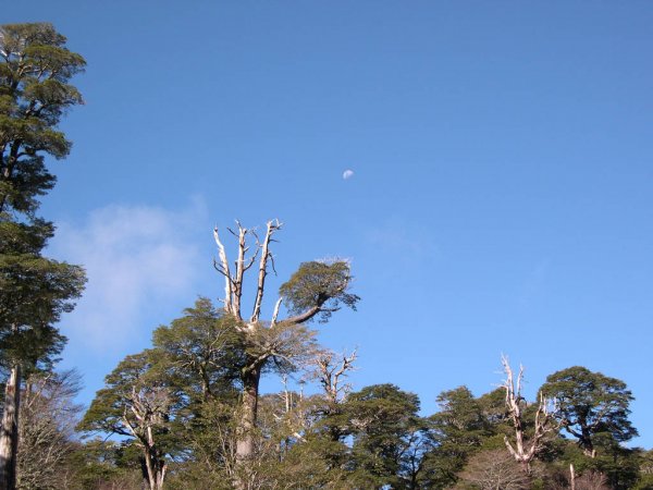 Norfolk Island weather forecast