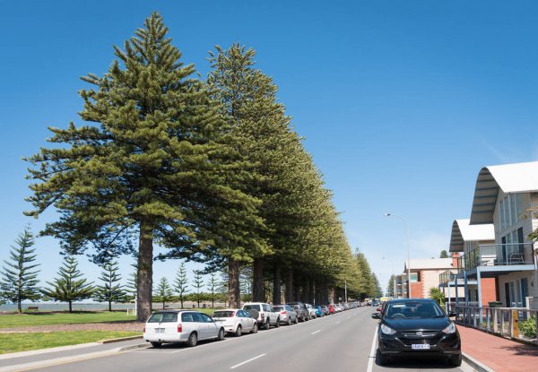 Norfolk Island weather forecast