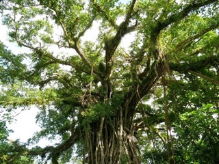 Northern Marianas Islands weather forecast