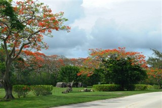 Northern Marianas Islands weather forecast