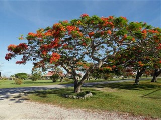 Northern Marianas Islands weather forecast