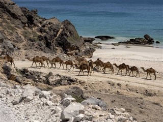 Oman weather forecast