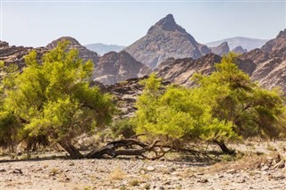 Oman weather forecast