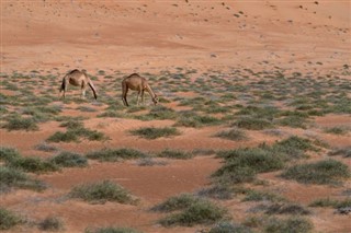 Oman weather forecast