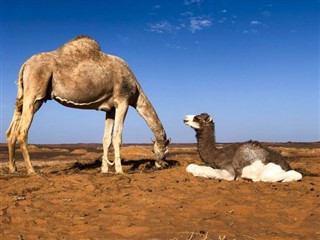 Oman weather forecast