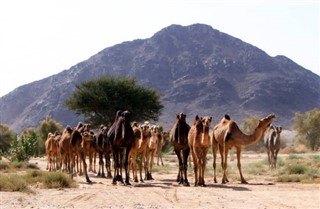 Oman weather forecast