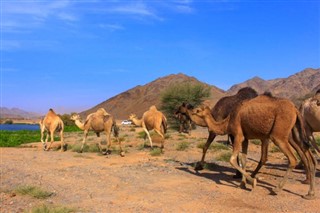 Oman weather forecast