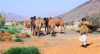 Oman weather forecast