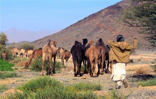 Oman weather forecast