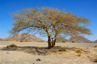 Oman weather forecast