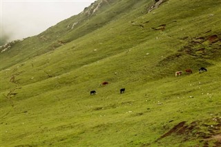 Pakistán pronóstico del tiempo