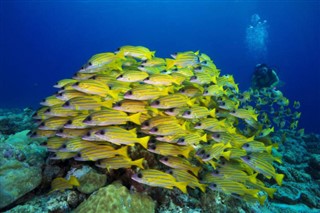 Palau pronóstico del tiempo