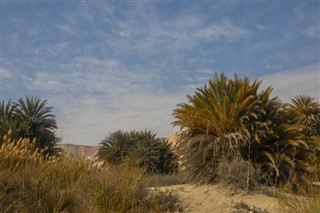 Palestinian Territory weather forecast