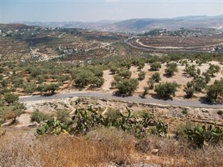 Palestinian Territory weather forecast