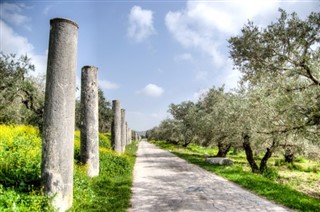 Territorio Palestino pronóstico del tiempo