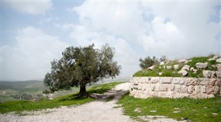 Palestinian Territory weather forecast