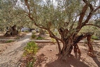 Palestinian Territory weather forecast