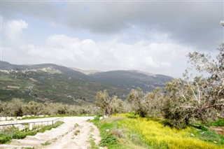 Palestinian Territory weather forecast