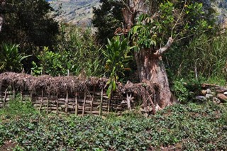 Papua New Guinea weather forecast