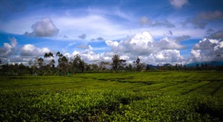 Papua New Guinea weather forecast