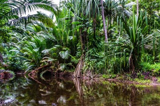 Papua New Guinea weather forecast