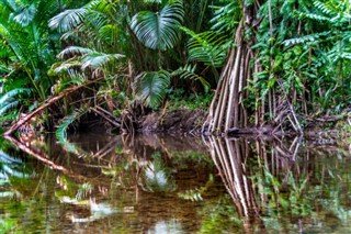 Papua New Guinea weather forecast