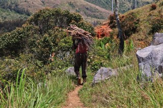 Papua New Guinea weather forecast