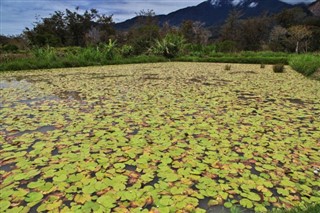 Papua New Guinea weather forecast