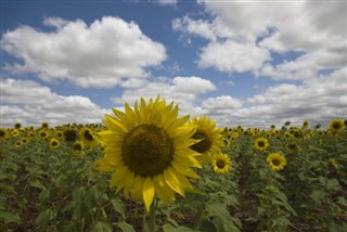 Paraguay weather forecast