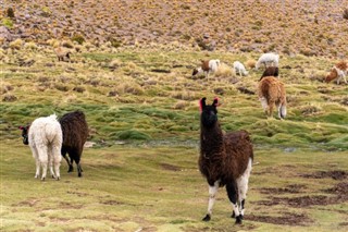 Peru weather forecast